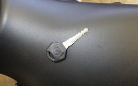 YAMAHA MT-25 A RG74J