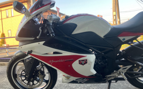 OTHER  MEGA RI250R LWGYDNL