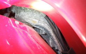 HONDA CREA SCOOPY 2018 AF55