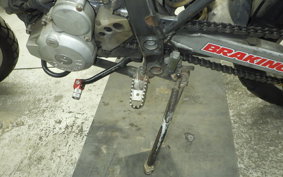 KAWASAKI KLX250 2021 LX250E