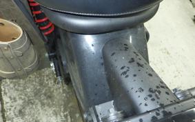 KAWASAKI W175 TR