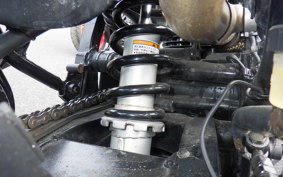 YAMAHA TT250R RAID 4GY
