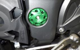 KAWASAKI Z1000 Gen.5 2019 ZXT00W