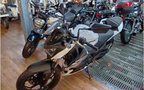 KAWASAKI Z250 ER250C