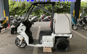OTHER MINI BIKE