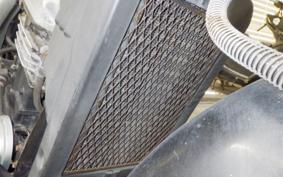 KAWASAKI ELIMINATOR 250 SE 2025 EL250A