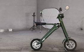 OTHER  BLAZE  SMART EV ..