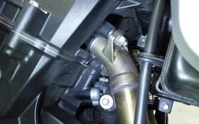 TRIUMPH TRIDENT 660 2025