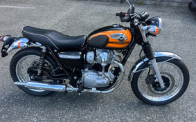 KAWASAKI W800 FE 2018 EJ800A