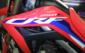 HONDA CRF250L 2020 MD47
