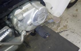 HONDA C110 SUPER CUB 2022 JA10