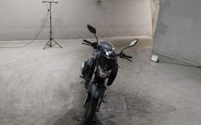 YAMAHA FZ25 RG42