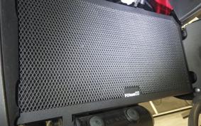 SUZUKI Vｽﾄﾛｰﾑ1000A 2025