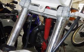 YAMAHA TY250 53Y
