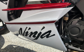 KAWASAKI NINJA ZX-14R HIG 2020 ZXT40J