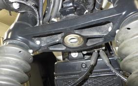 TRIUMPH SPEED TWIN 2019