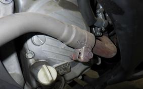 HONDA FORESIGHT EX 2019 MF04