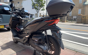 HONDA  FORZA 250 MF17