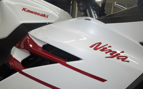 KAWASAKI NINJA 250 2021 EX250Y