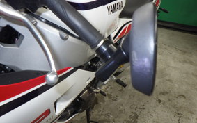 YAMAHA XSR900 GP 2024 RN96J