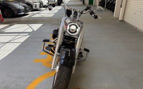 HARLEY  HARLEY FLFBS 2021 YGK
