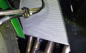 KAWASAKI NINJA1100SX SE 2025 ZXT10H