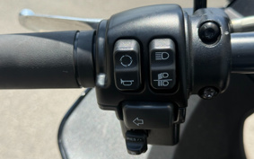 HARLEY FXLRST 2024 YXZ