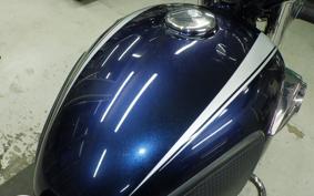 KAWASAKI W800 2021 EJ800B
