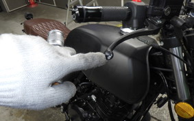 OTHER +MUTT250