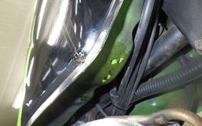 KAWASAKI SUPER SHERPA KL250G