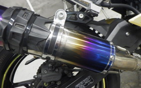 KAWASAKI NINJA 250 EX250P