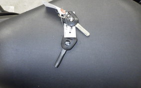 HONDA REBEL 1100 DCT 2022 SC83