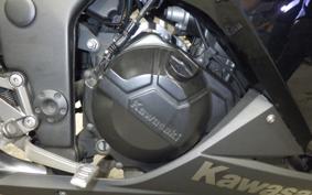 KAWASAKI NINJA 250 EX250L