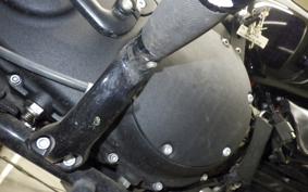 HARLEY XL1200NS 2020