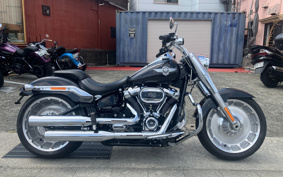 HARLEY FLFBS 2021 YGK