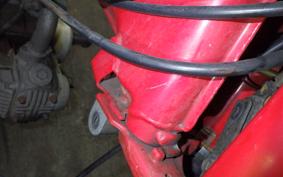 HONDA CL50 BENLY 2025 CD50