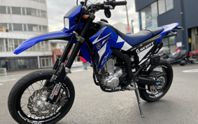 YAMAHA WR250X DG20