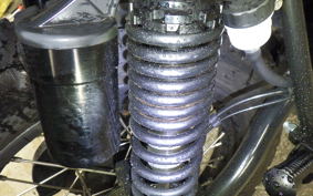 OTHER +MUTT250