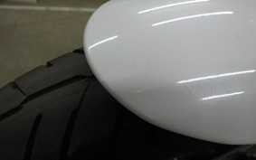 HARLEY XL883LI 2015