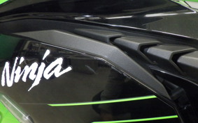 KAWASAKI ZX-4RR 2023 ZX400P