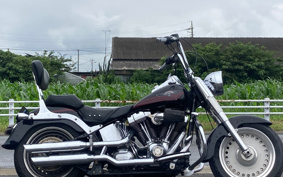HARLEY FLSTF1450-1580 2007 BX5