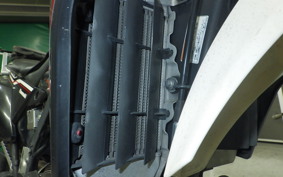 KAWASAKI KLX250D TRACKER X 2025 LX250V