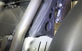 OTHER +ENFIELD ﾋﾏﾗﾔﾝ 2021
