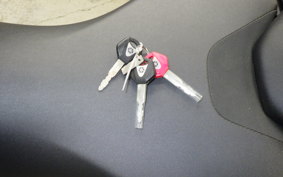 YAMAHA MT-07 2024 RM33J