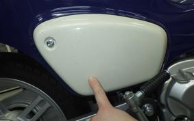 HONDA C110 SUPER CUB JA61