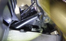 HONDA CBR250RR 2018 MC51