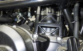 BENELLI レオンチーノ250