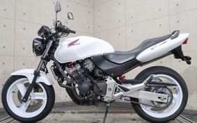 HONDA HORNET250 MC31