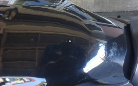 HONDA CB400SFV-3 2006 NC39