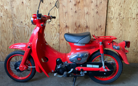 HONDA LITTLE CUB AA01
